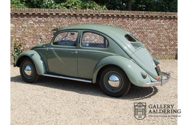 Volkswagen Maggiolino 1100 Standard (Brezel) 1951