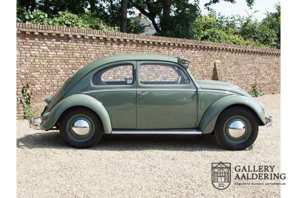 Volkswagen Maggiolino 1100 Standard (Brezel) 1951 64932