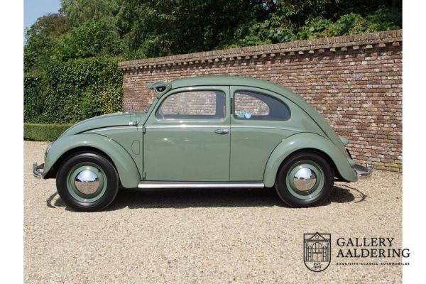 Volkswagen Maggiolino 1100 Standard (Brezel) 1951 64938