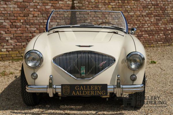 Austin-Healey 100/4 (BN1) 1954 101407