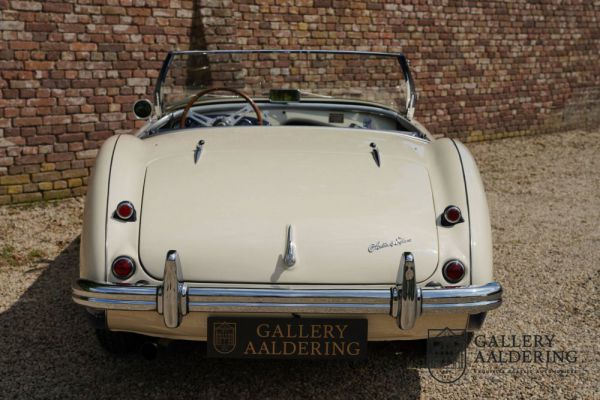 Austin-Healey 100/4 (BN1) 1954 101408