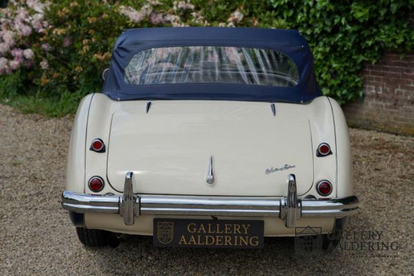 Austin-Healey 100/4 (BN1) 1954 101409