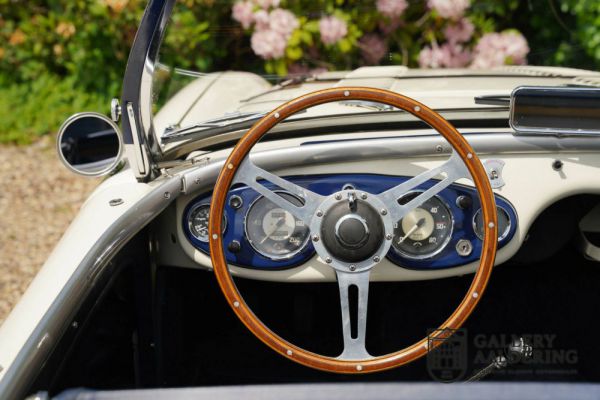 Austin-Healey 100/4 (BN1) 1954 101411