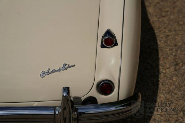 Austin-Healey 100/4 (BN1) 1954 101416