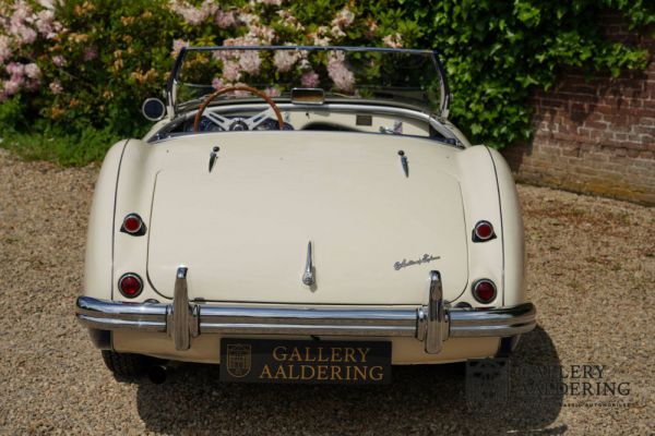 Austin-Healey 100/4 (BN1) 1954 101417