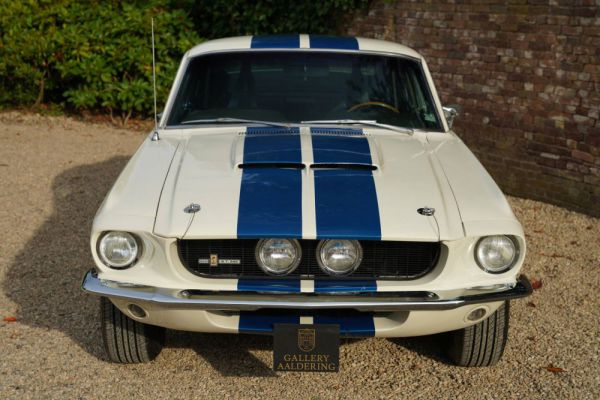 Ford Shelby GT 500 1967 104109