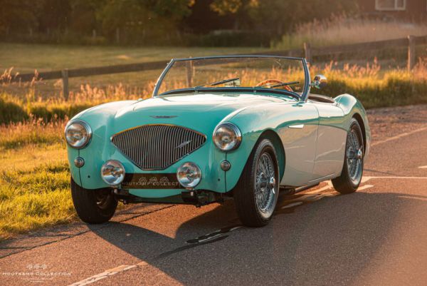 Austin-Healey 100/4 (BN1) 1954 28916