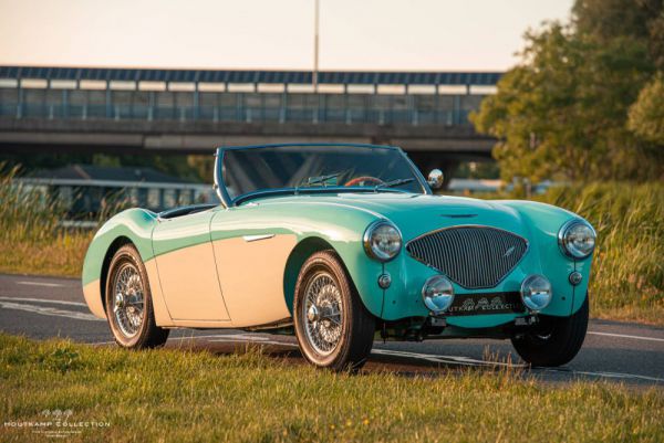 Austin-Healey 100/4 (BN1) 1954 28917