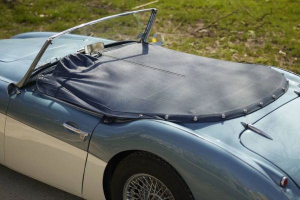 Austin-Healey 100/6 (BN6) 1958 25676