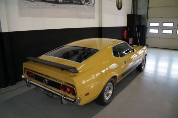 Ford Mustang Mach 1 1973 82775