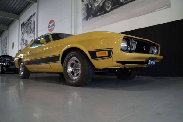 Ford Mustang Mach 1 1973 82782