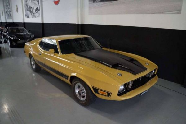 Ford Mustang Mach 1 1973 82783