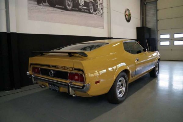 Ford Mustang Mach 1 1973 82787