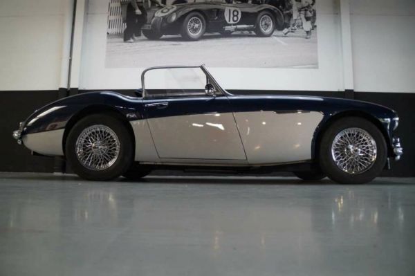 Austin-Healey 3000 Mk II (BN7) 1961 95401