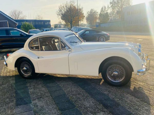 Jaguar XK 140 SE FHC 1956 33664