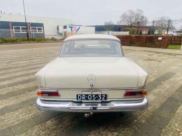 Mercedes-Benz 230 1967 33703