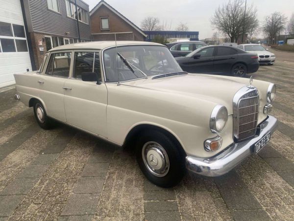 Mercedes-Benz 230 1967 33707