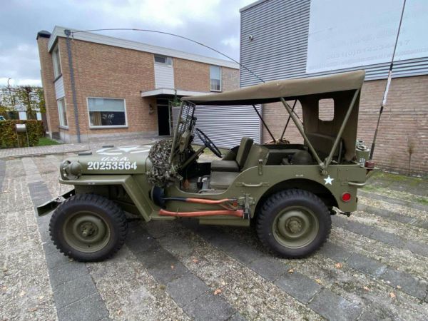 Willys MB 1942 81135