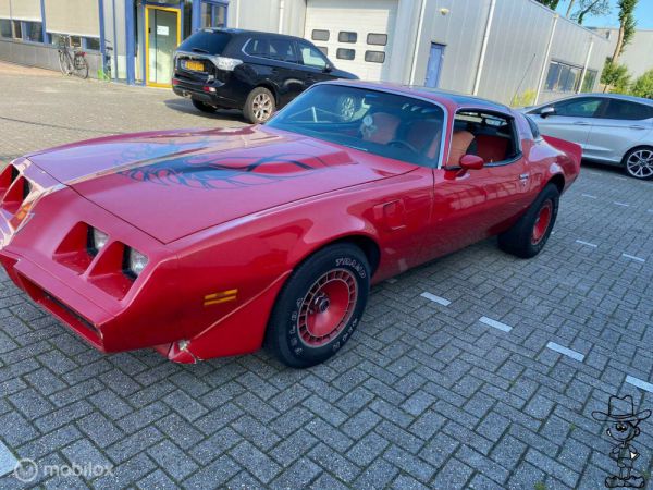 Pontiac Firebird Turbo TransAm 1980 35759