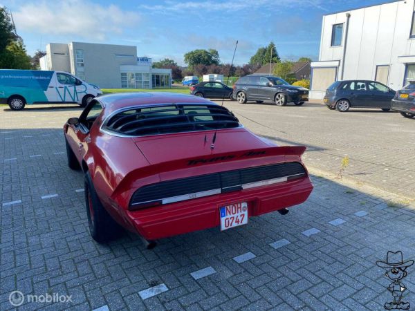 Pontiac Firebird Turbo TransAm 1980 35762