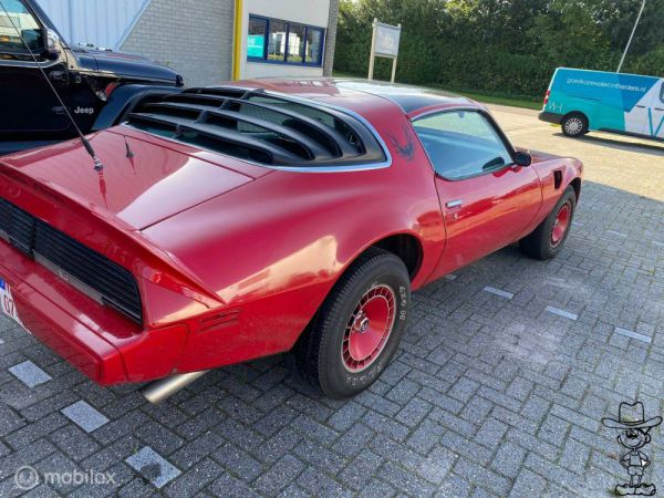 Pontiac Firebird Turbo TransAm 1980 35763