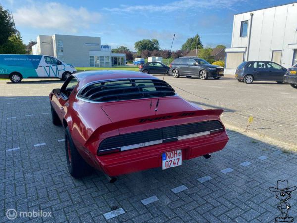 Pontiac Firebird Turbo TransAm 1980 35764