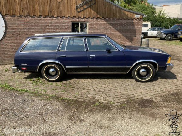 Chevrolet Malibu Wagon 1981