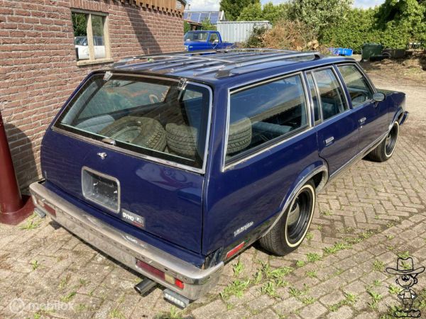 Chevrolet Malibu Wagon 1981 60942