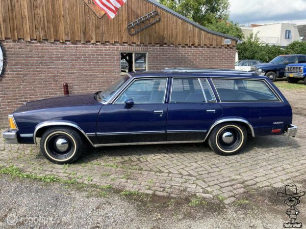 Chevrolet Malibu Wagon 1981 60943