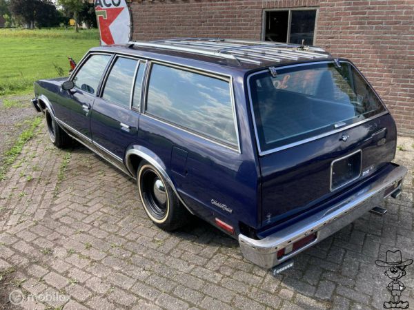 Chevrolet Malibu Wagon 1981 60945