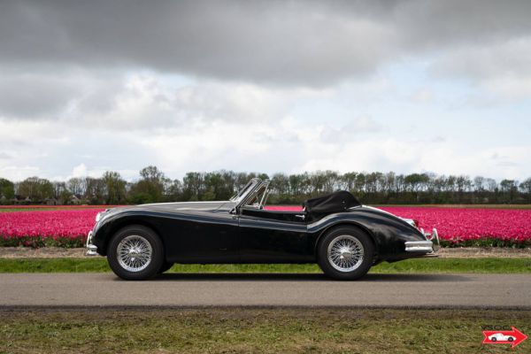 Jaguar XK 140 DHC 1956