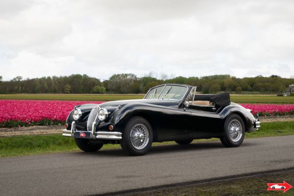 Jaguar XK 140 DHC 1956 3145