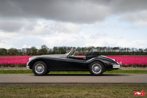 Jaguar XK 140 DHC 1956 3146