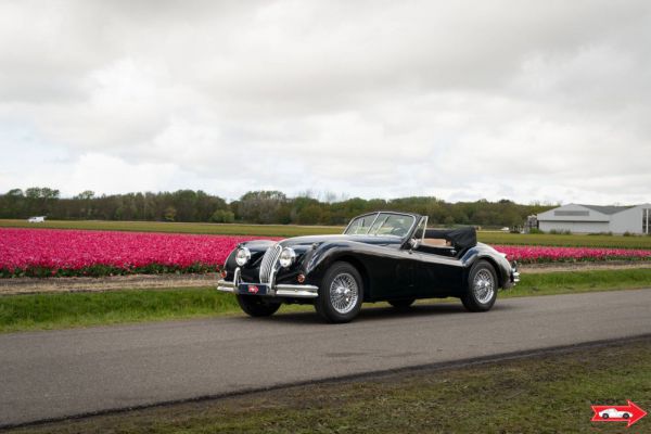 Jaguar XK 140 DHC 1956 3149