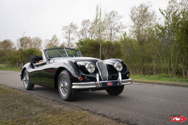 Jaguar XK 140 DHC 1956 3150