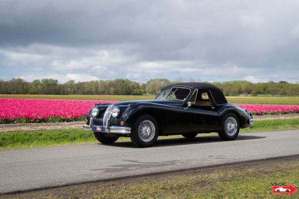 Jaguar XK 140 DHC 1956 3153