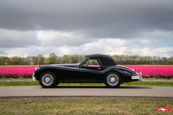 Jaguar XK 140 DHC 1956 3154