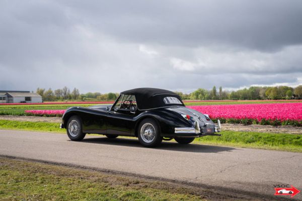 Jaguar XK 140 DHC 1956 3155