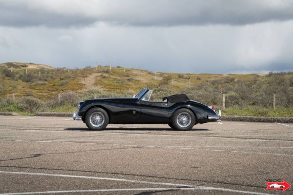 Jaguar XK 140 DHC 1956 3157