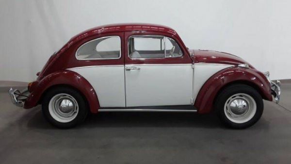 Volkswagen Maggiolino 1200 1965 114