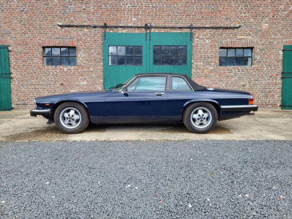 Jaguar XJ-SC H.E. 1986 292