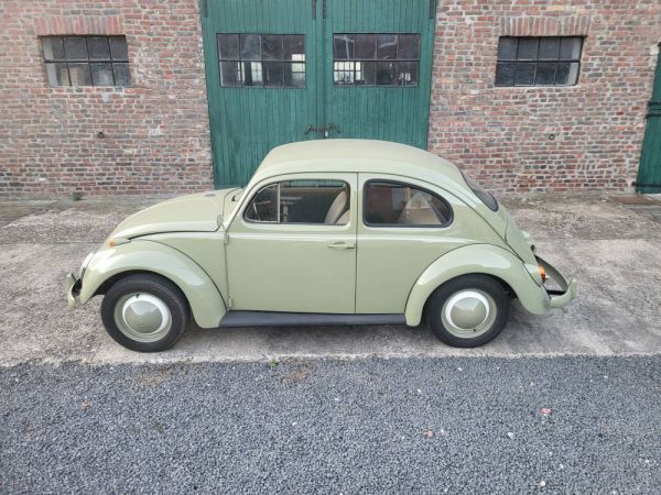 Volkswagen Maggiolino 1200 Standard "Dickholmer" 1963