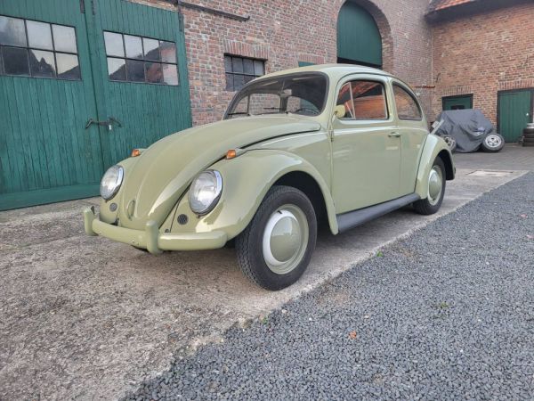 Volkswagen Maggiolino 1200 Standard "Dickholmer" 1963 98570