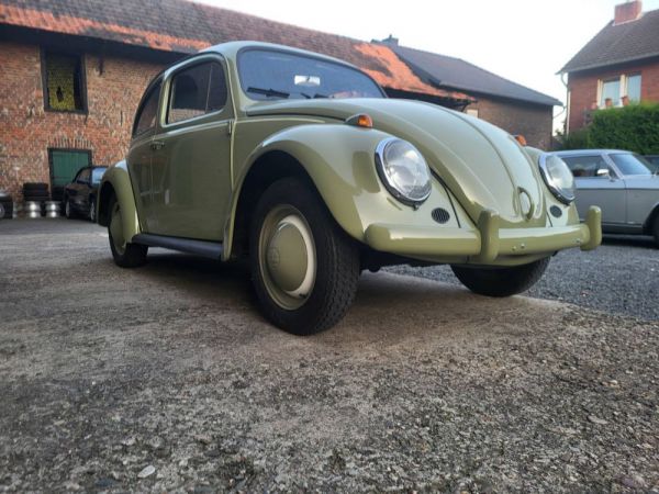 Volkswagen Maggiolino 1200 Standard "Dickholmer" 1963 98577