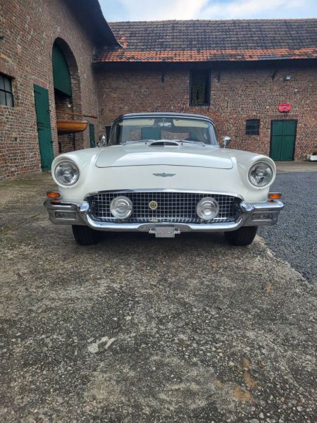 Ford Thunderbird 1957 104790