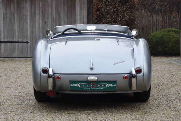 Austin-Healey 100/4 (BN1) 1954 57809