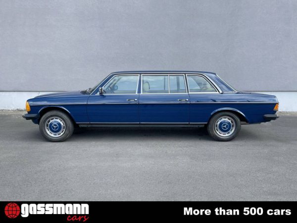 Mercedes-Benz 250 lang 1985 21842