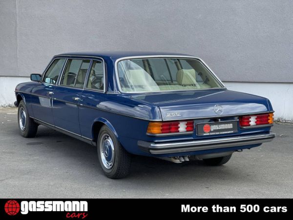 Mercedes-Benz 250 lang 1985 21843