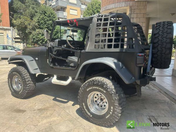 Jeep Wrangler YJ 4.0 1996 32735