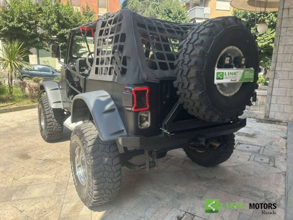 Jeep Wrangler YJ 4.0 1996 32736